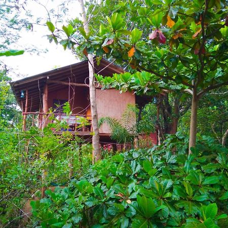 Appartement Akash Treehouse à Sigirîya Extérieur photo