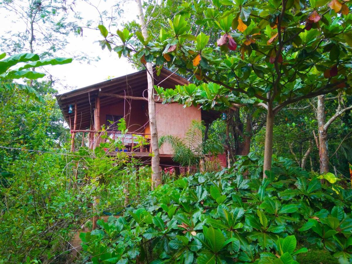 Appartement Akash Treehouse à Sigirîya Extérieur photo