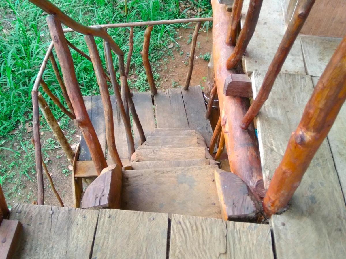 Appartement Akash Treehouse à Sigirîya Extérieur photo