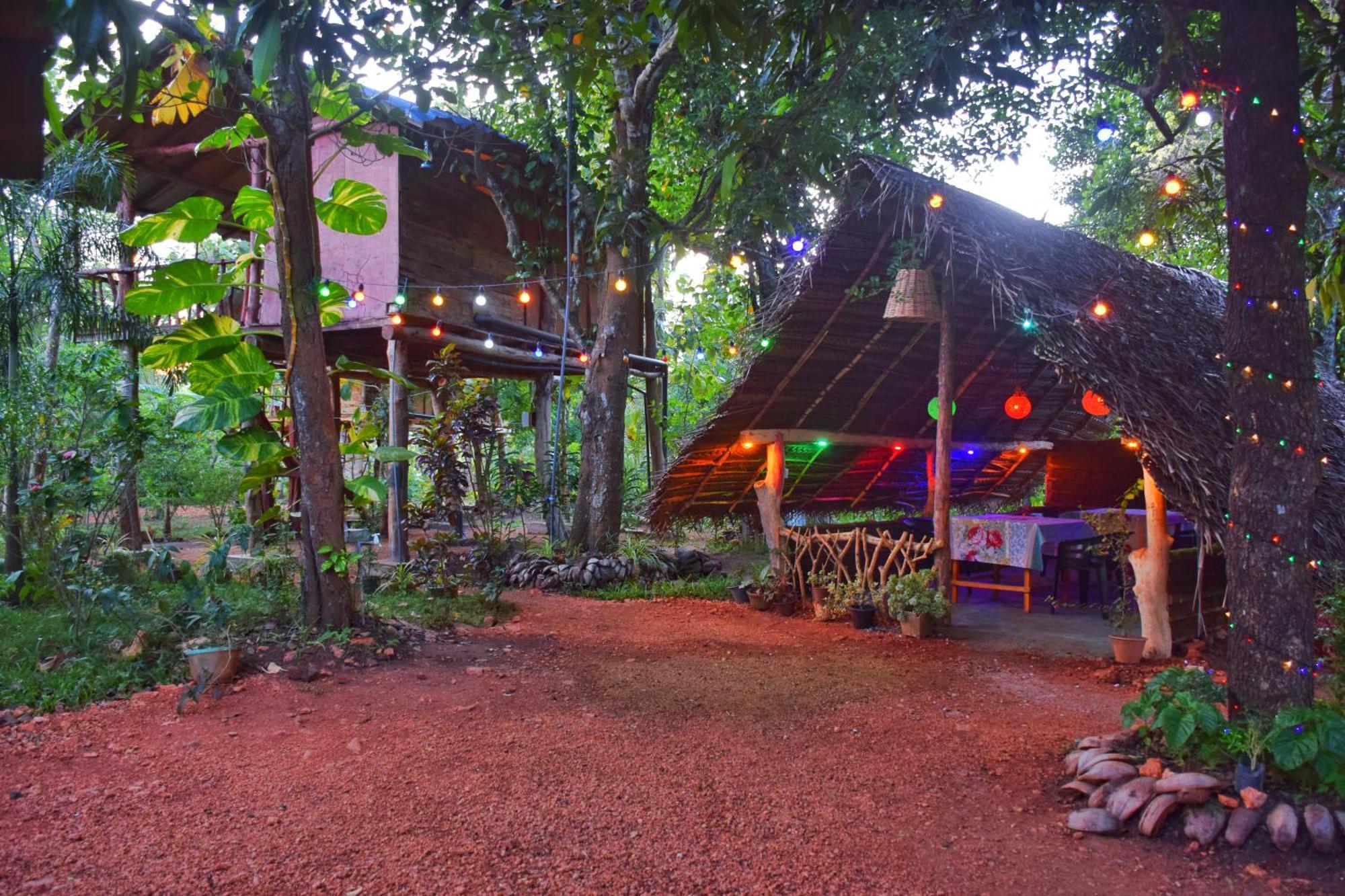 Appartement Akash Treehouse à Sigirîya Extérieur photo