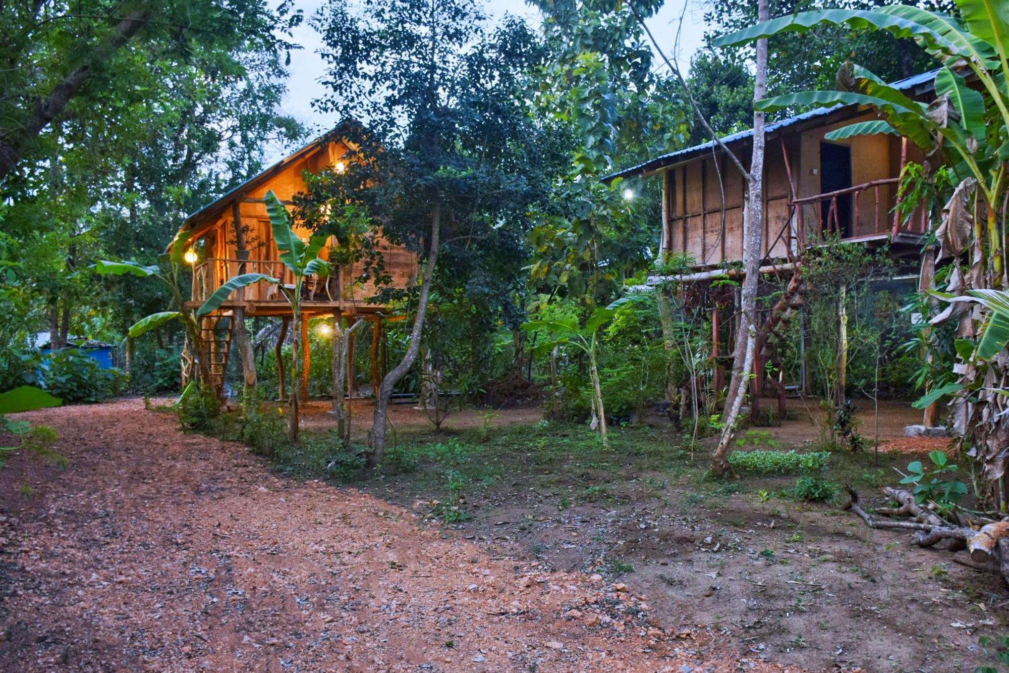 Appartement Akash Treehouse à Sigirîya Extérieur photo