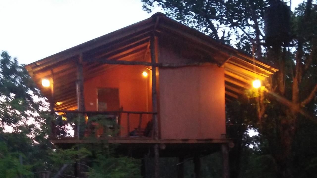 Appartement Akash Treehouse à Sigirîya Extérieur photo