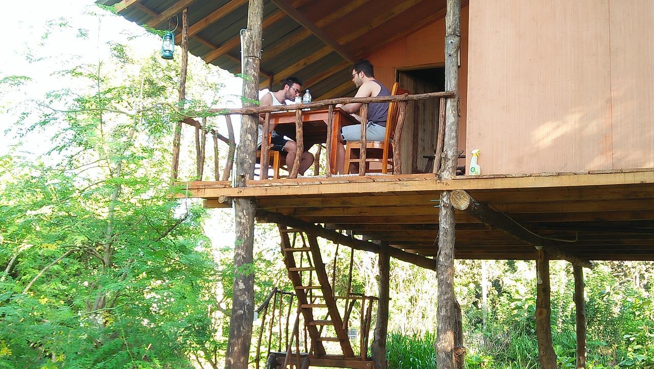 Appartement Akash Treehouse à Sigirîya Extérieur photo